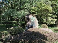 -武夷山风景名胜区-玉女峰