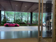 -瑰丽酒店·海吧·天际下午茶·现场DJ·天台酒吧