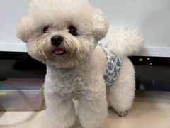 -马叉虫和妖且闲·长沙大排档(解放西店)