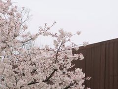 -龙美术馆(西岸馆)