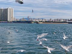 -清真烧麦馆(民族路店)