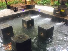 -西安国际创新人才交流中心•药浴温泉
