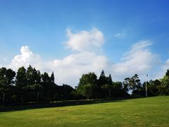 -紫马岭公园