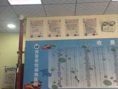 -佳怡动物医院·平价24小时·猫专科骨外科