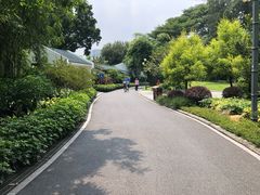 -晓港公园