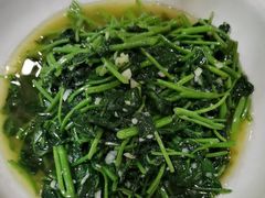 成安温村红薯叶-春满园·邯郸菜发祥地(滏东店)
