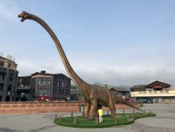 点击看大图 -恐龙探索乐园(磁器口店)