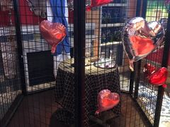 -INLOVE KTV(世博源店)