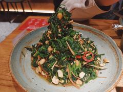 青年拌菜-青年公社烤鸭(蜀山万象汇店)