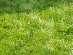 -天目湖涵田度假村