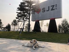 -太平河公园