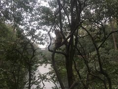 -黔灵山公园-南门售票处