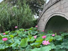 -长广溪湿地公园