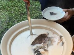 -久宴·天目湖大鱼头(恐龙园店)