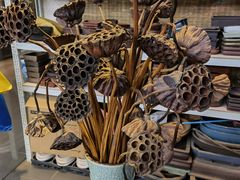 -双季花艺园艺市场(浦东店)