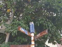 -西南交通大学(九里校区)