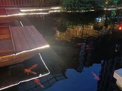 -大融厨·鸡毛店·川菜(果壳里东安湖店)