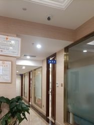 -碧莲盛·不剃发植发