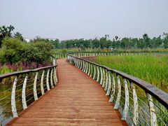 -潇河湿地公园