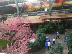 -君临七星生态酒店