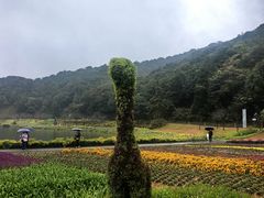 -广州市石门国家森林公园