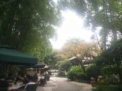 -王家渡火锅(三苏祠店)