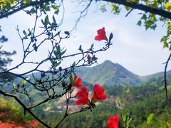 -木兰云雾山