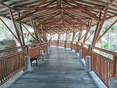 -海口观澜湖火山温泉谷