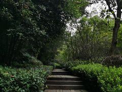 -杭州半山国家森林公园