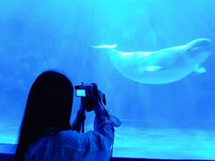 -多彩贵州城极地海洋世界