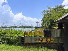 -海珠湖公园