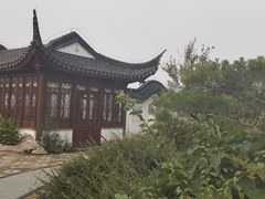 -大东方海鲜酒楼(小武基桥店)