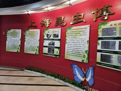 -上海昆虫博物馆