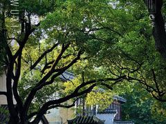 -惠山古镇·寄畅园