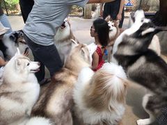 -TrueLove @ Neverland (Husky Cafe)