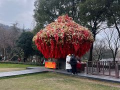 -狼山风景名胜区