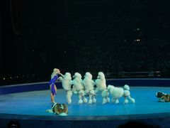 -珠海横琴长隆《卡卡虎奇遇记》