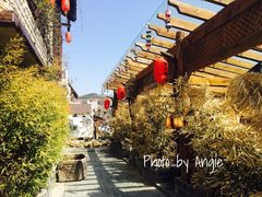 iphone_upload_pic-慢丽江·云南野生菌土鸡锅(付家庄店)