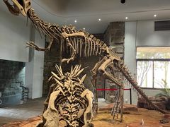 -自贡恐龙博物馆