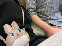 -海底捞火锅(正大乐城店)