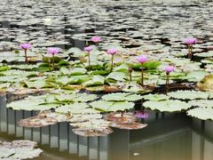 -星巴克(深圳前海企业公馆店)