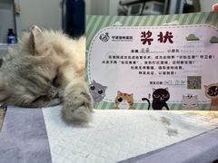 -守诺宠物医院·眼科· 特色牙科·异宠专科(虹口店)