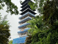 -宜兴龙背山森林公园
