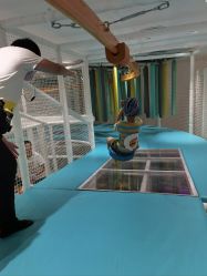 -奈尔宝·儿童乐园·亲子餐厅(鄞州万达店)