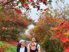 -广州市石门国家森林公园
