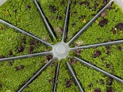 -蟹天蟹地农家菜·阳澄湖大闸蟹(浅水湾店)