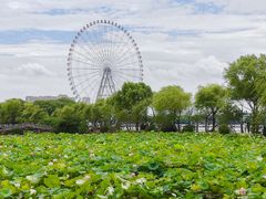 -无锡蠡湖国家湿地公园-蠡园