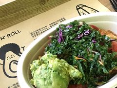 -油梨树AVOCADO TREE(望京店)