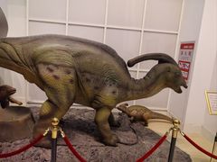 -烟台自然博物馆