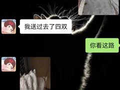 -猫尾侦探俱乐部·剧本杀·狼人杀